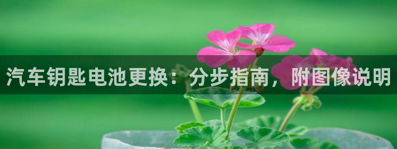优发国际官网,首页
