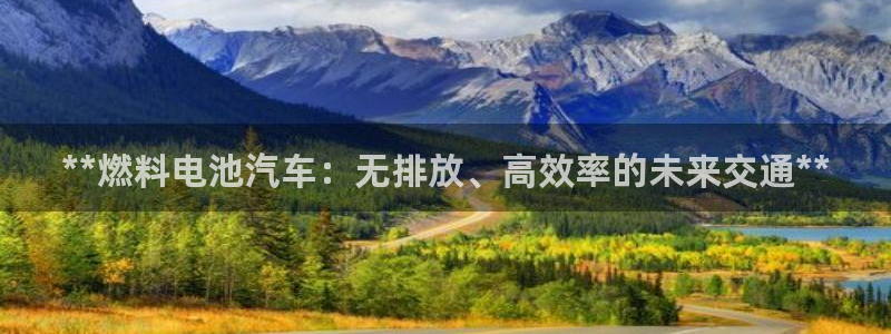 优发国际平台u8是什么公司