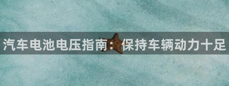 优发国际app