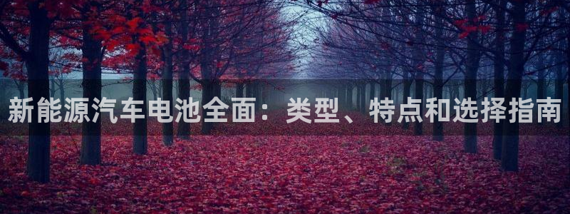 优发国际官方网平台是正品吗