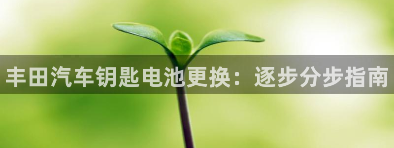 优发国际手机客户端下载