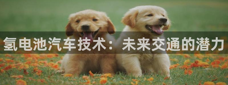 优发国际官网,首页网址