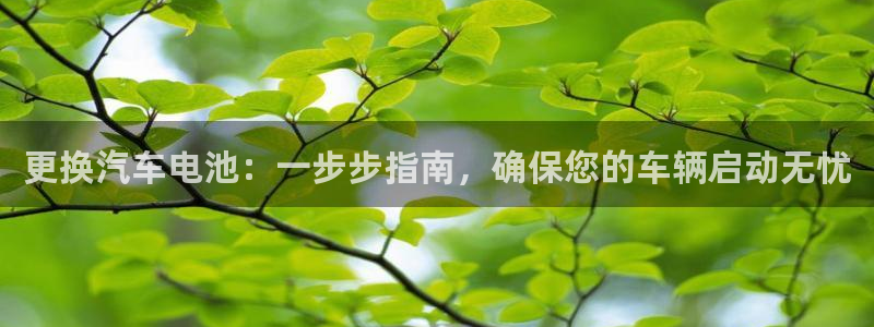 优发国际这个平台怎么样啊