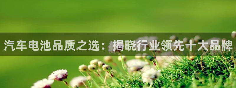 优发国际手机版官网入口