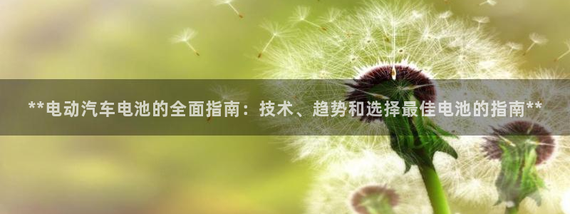 优发国际线上娱官网