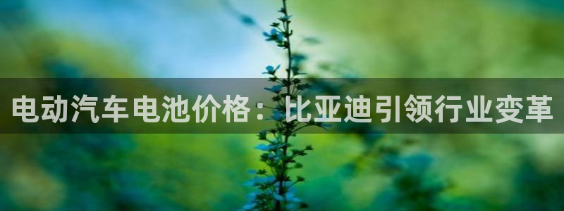 优发国际手机版客户端下载
