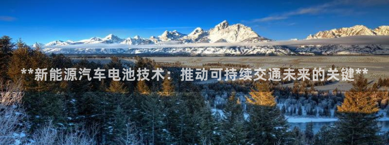 优发国际是什么
