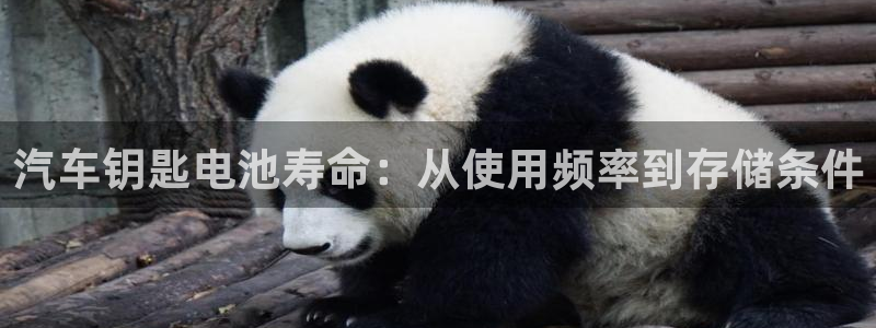 优发国际官方网