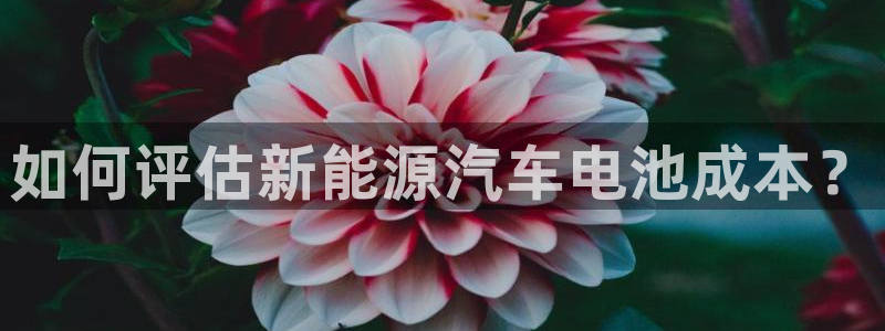 优发国际游戏n
