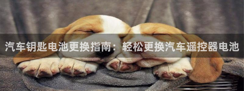 优发国际官网手机版下载苹果