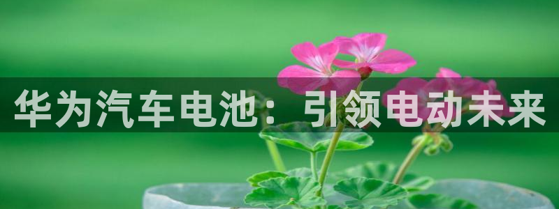 优发国际这个平台怎么样