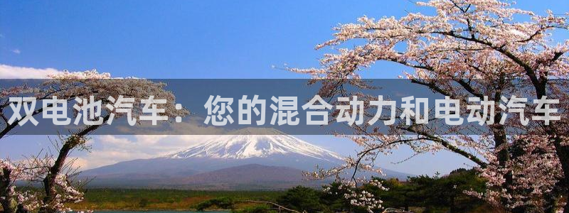 优发国际youfa966