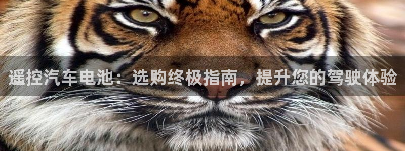 优发国际网官网址是多少