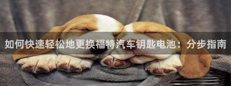 优发国际官网平台