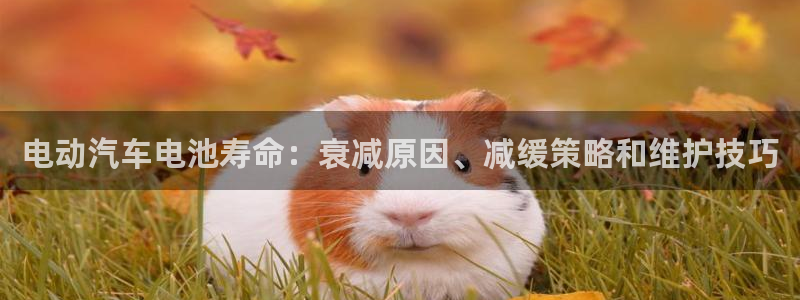 优发国际这个平台怎么样啊