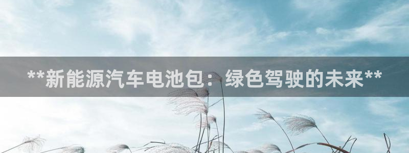 优发国际的网站是