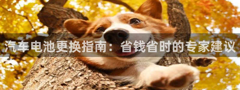 优发国际-触即发