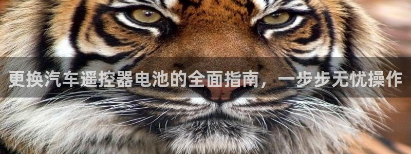 优发国际手机客户端官网