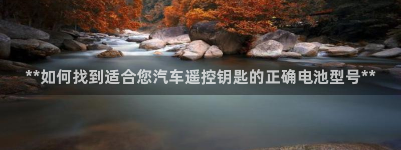 优发国际合并到哪里了最新消息