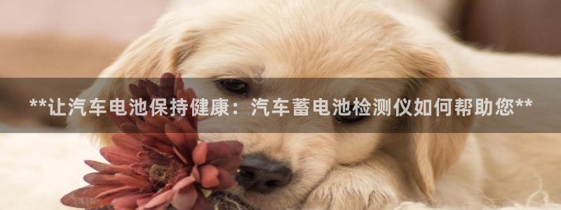 优发国际官网下载安装app