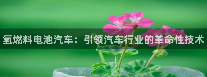 优发国际一首页