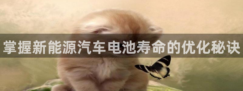 优发国际手机客户端