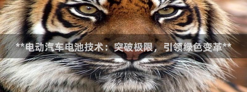 优发国际游戏官方网站入口