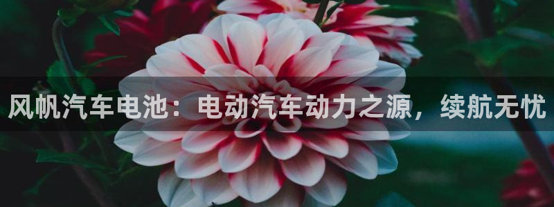 优发国际手机版网站官网