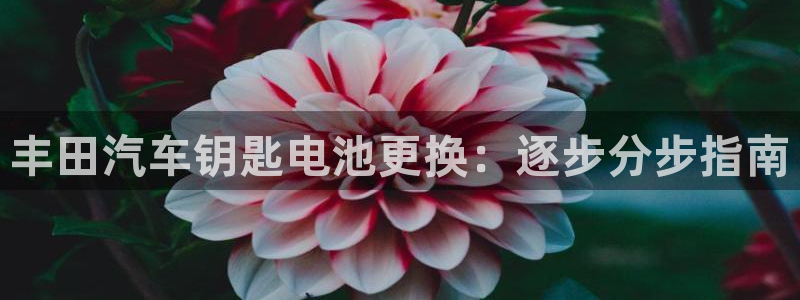 优发国际官网qy88