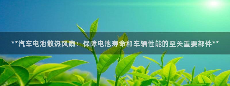 优发国际手机登录下载安装：**汽车电池散热风扇：保障电池寿命和车辆性能的至关重要部件**
