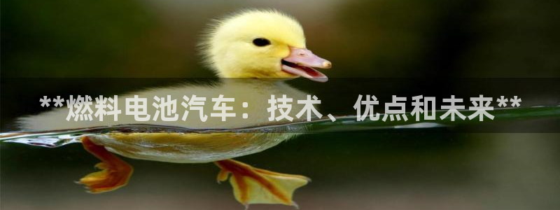 优发国际下载安装app