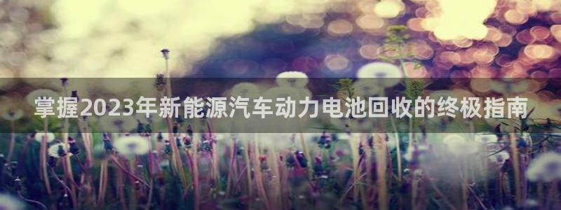 优发国际平台手机版下载安装：掌握2023年新能源汽车动力电池回收的终极指南