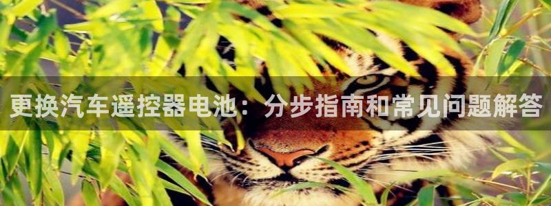 优发国际网官网17o8：更换汽车遥控器电池：分步指南和常见问题解答