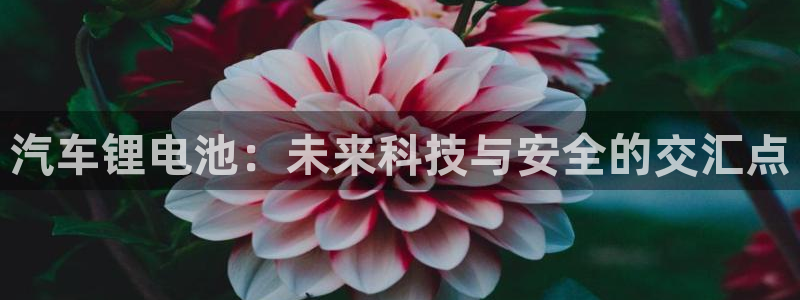 优发国际最新网站下载