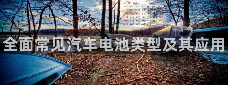 优发国际官网首页入口：全面常见汽车电池类型及其应用