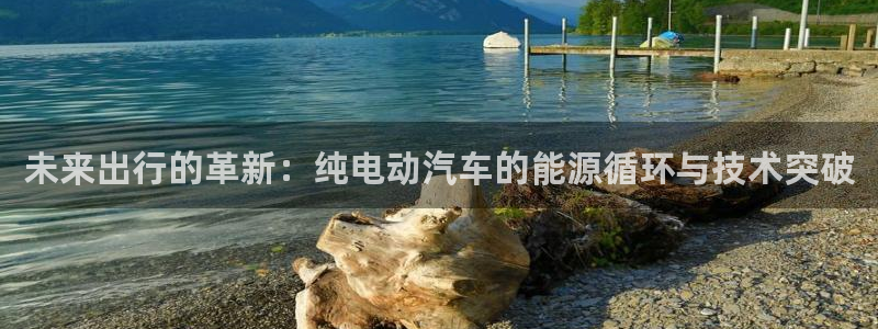 优发国际手机客户端：未来出行的革新：纯电动汽车的能源循环与技术突破