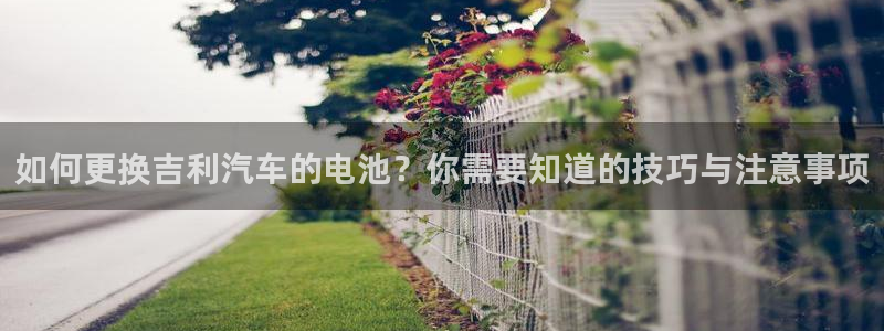 优发国际这个平台怎么样知乎：如何更换吉利汽车的电池？你需要知道的技巧与注意事项