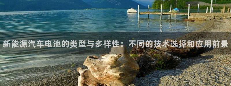 优发国际youfa：新能源汽车电池的类型与多样性：不同的技术选择和应用前景
