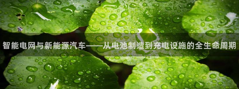 优发国际官网下载手机版：智能电网与新能源汽车——从电池制造到充电设施的全生命周期