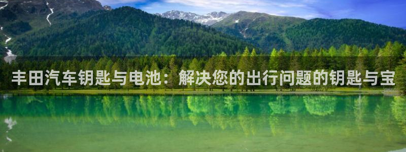 优发国际app官网下载安装手机版：丰田汽车钥匙与电池：解决您的出行问题的钥匙与宝