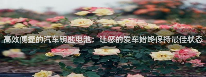 优发国际手机版下载安装