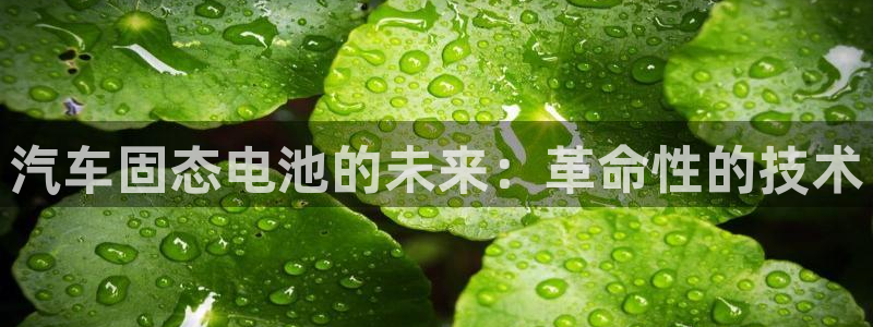 优发国际平台网站：汽车固态电池的未来：革命性的技术