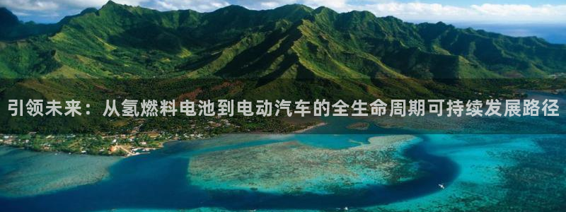 优发国际游戏17岁能玩吗：引领未来：从氢燃料电池到电动汽车的全生命周期可持续发展路径