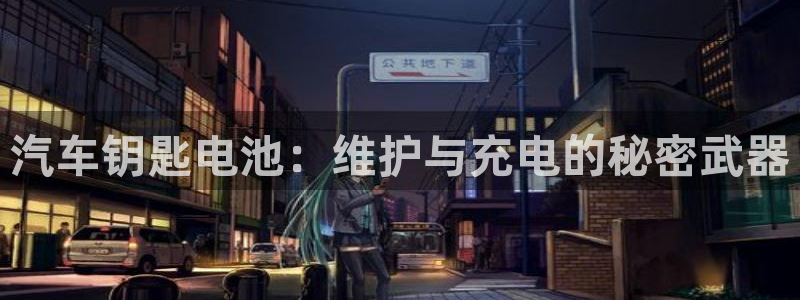 优发国际官网手机版入口：汽车钥匙电池：维护与充电的秘密武器
