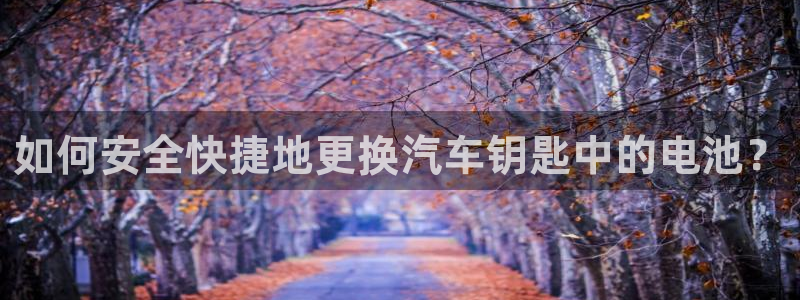 优发国际手机app下载安装苹果：如何安全快捷地更换汽车钥匙中的电池？
