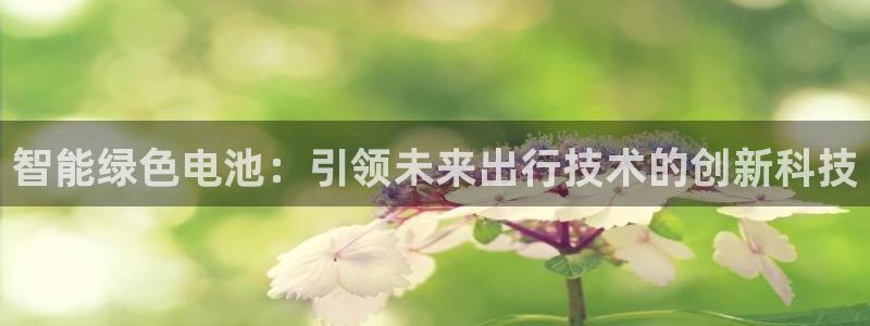 优发国际集团股份有限公司是国企吗：智能绿色电池：引领未来出行技术的创新科技