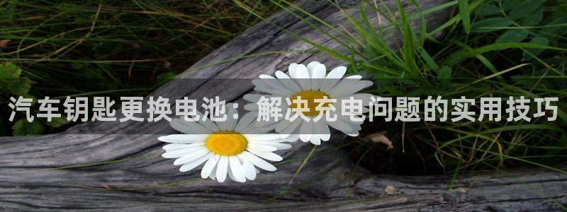 优发国际的官网是什么软件：汽车钥匙更换电池：解决充电问题的实用技巧