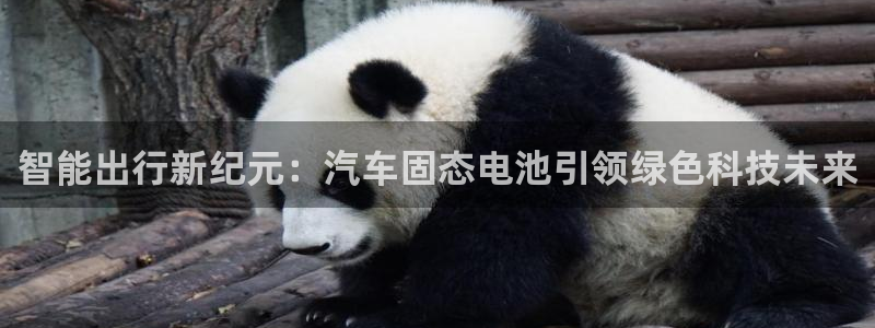 优发国际安卓版下载安装：智能出行新纪元：汽车固态电池引领绿色科技未来