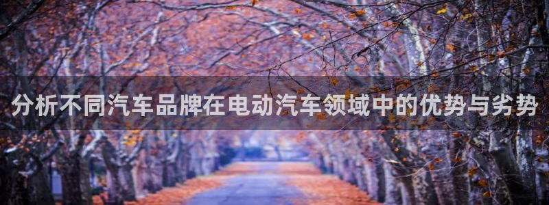 优发国际手机版客户端下载安装：分析不同汽车品牌在电动汽车领域中的优势与劣势