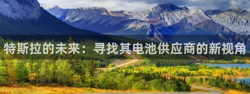 优发国际网站178：特斯拉的未来：寻找其电池供应商的新视角